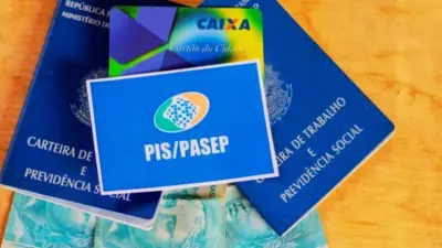Espelho do Pis: o que é? Como consultar online?
