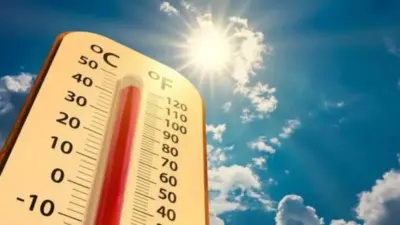 Como Sobreviver ao Calor Extremo: Proteja sua Saúde Agora
