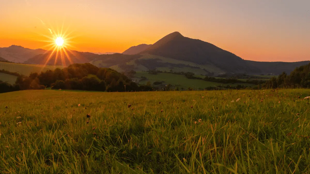 Onde o sol nasce? Saiba como se localizar usando o sol