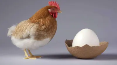 O que veio primeiro: o ovo ou a galinha? Entenda o que a ciência diz