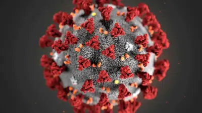 Descubra os 3 Grupos em Risco Mortal Com Mpox: Alerta Vital!