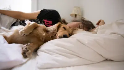 É seguro dormir com o pet na cama?