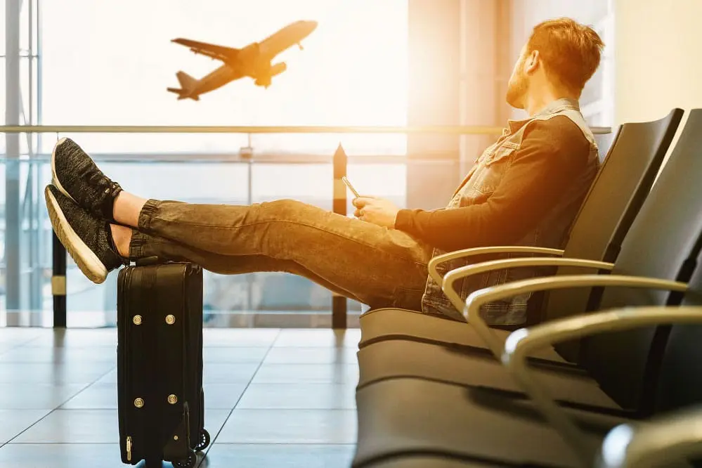 Banheiros pet revolucionam aeroportos brasileiros e encantam tutores de animais