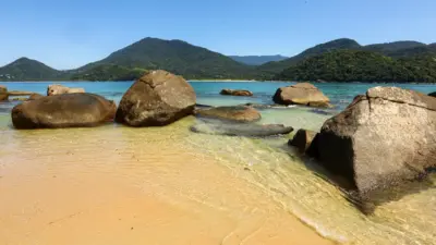 Descubra os 8 Segredos para Proteger Sua Saúde no Verão