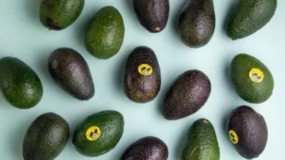 Segredos para Curtir o Verão: Alimentação e Hidratação Saudáveis