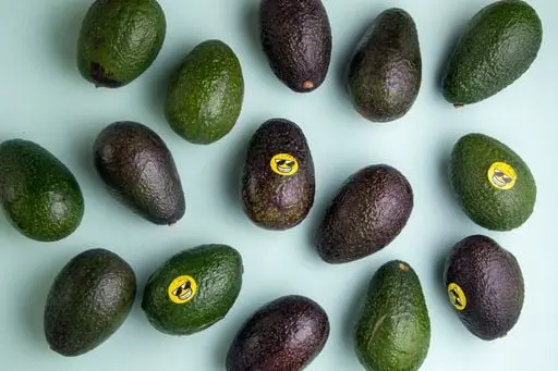 Segredos para Curtir o Verão: Alimentação e Hidratação Saudáveis