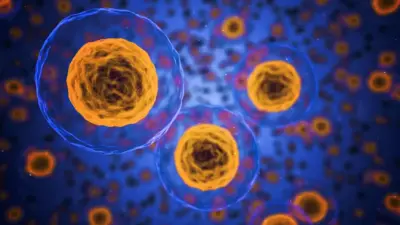 Cientistas fazem célula com Síndrome de Down voltar ao normal