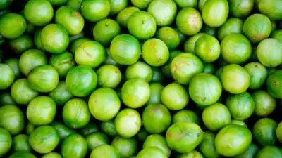 A fruta que você deveria comer todo dia