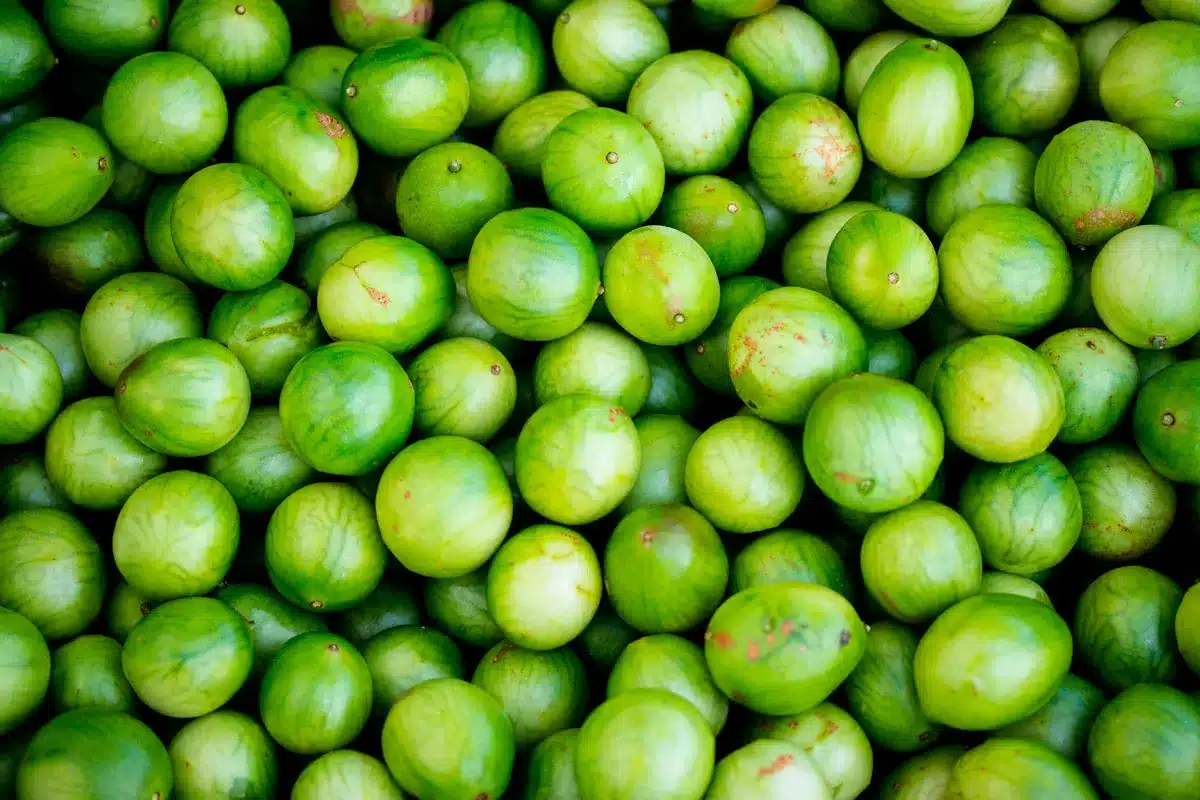A fruta que você deveria comer todo dia