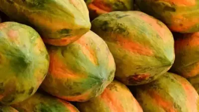 Fruta que parece saudável, mas pode ser perigosa
