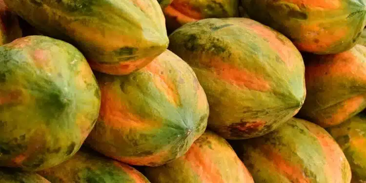 Fruta que parece saudável, mas pode ser perigosa