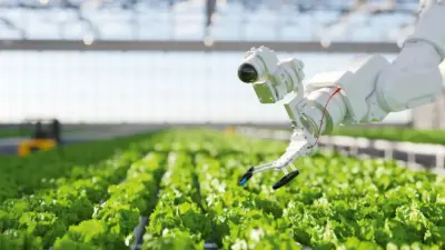 Agronegócio 5.0: Como a Transformação Digital Revoluciona o Campo Brasileiro