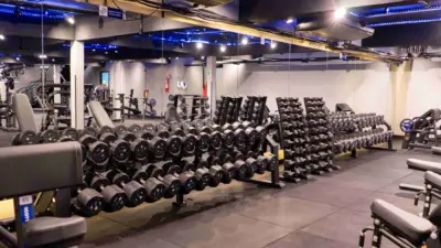 WELLNESS EM 2026: A saúde como jornada, não como destino