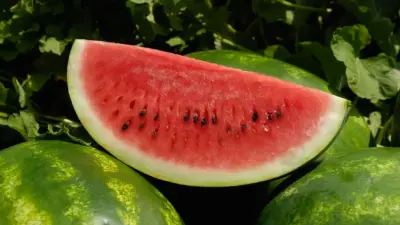 Descubra Como a Melancia Turbina Sua Saúde Cardiovascular Naturalmente