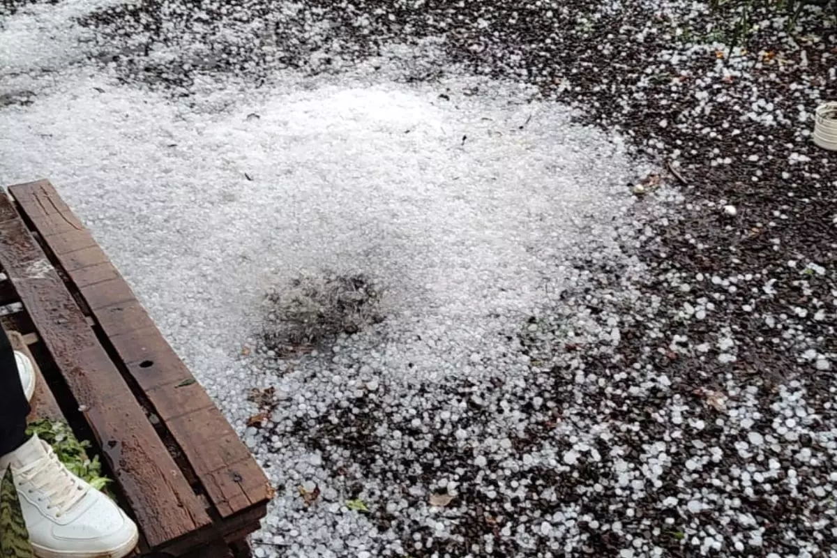 Proteja Seus Bens do Granizo com Estas Dicas Infalíveis!
