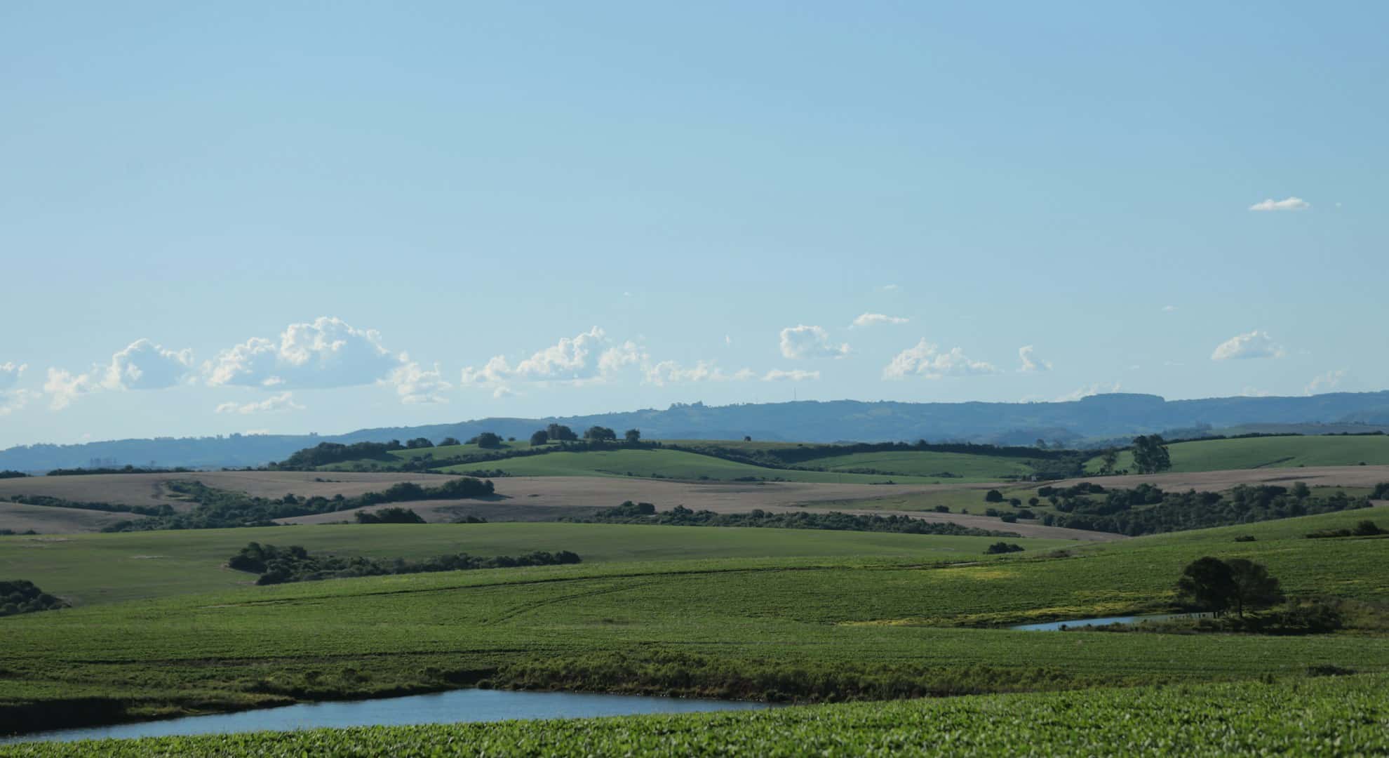 Frente fria traz queda brusca de temperatura e risco de geada ao Sul do Brasil
