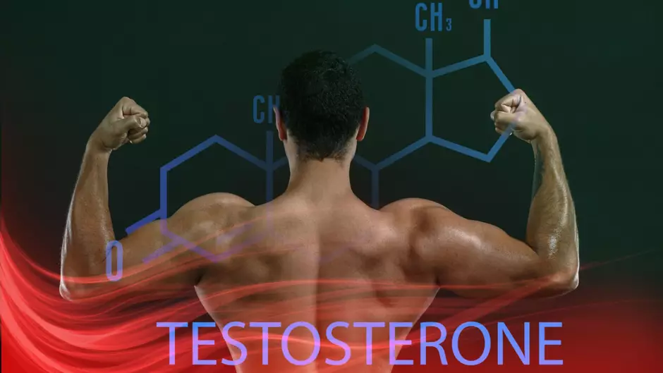 Nutricionista Revela 3 Dicas Infalíveis para Aumentar Testosterona Naturalmente